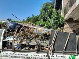 Best Shed Removal  in Prosperity, SC